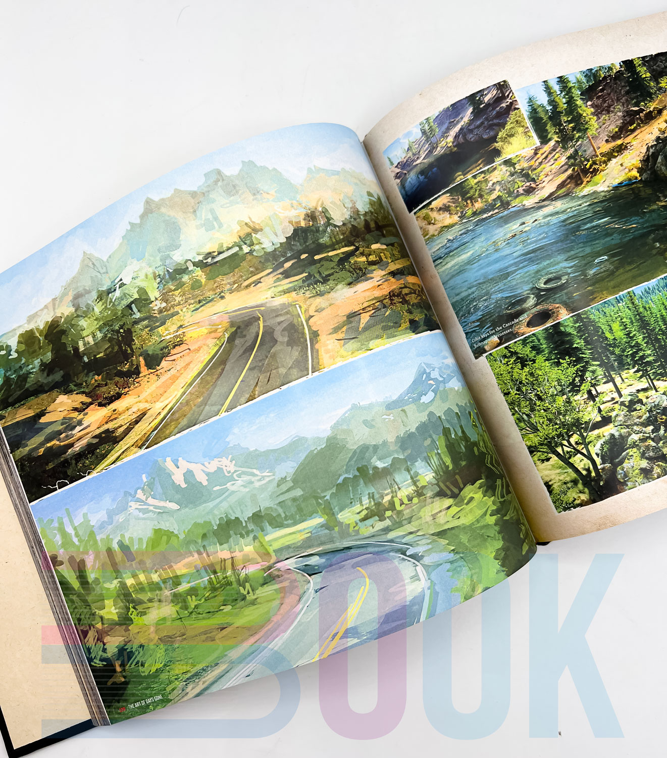 آرت بوک بازی دیزگان The Art of Days Gone - تصویر 10