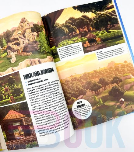 گاید بوک بازی فورتنایت FORTNITE Official: The Battle Royale Survival Guide - 5