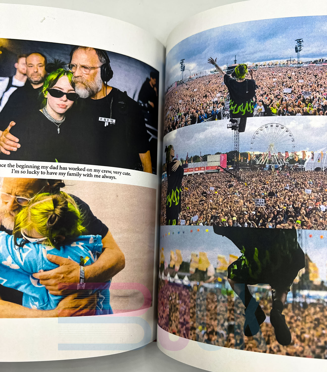 کتاب زندگینامه بیلی آیلیش Billie Eilish: The Official Book - تصویر 6