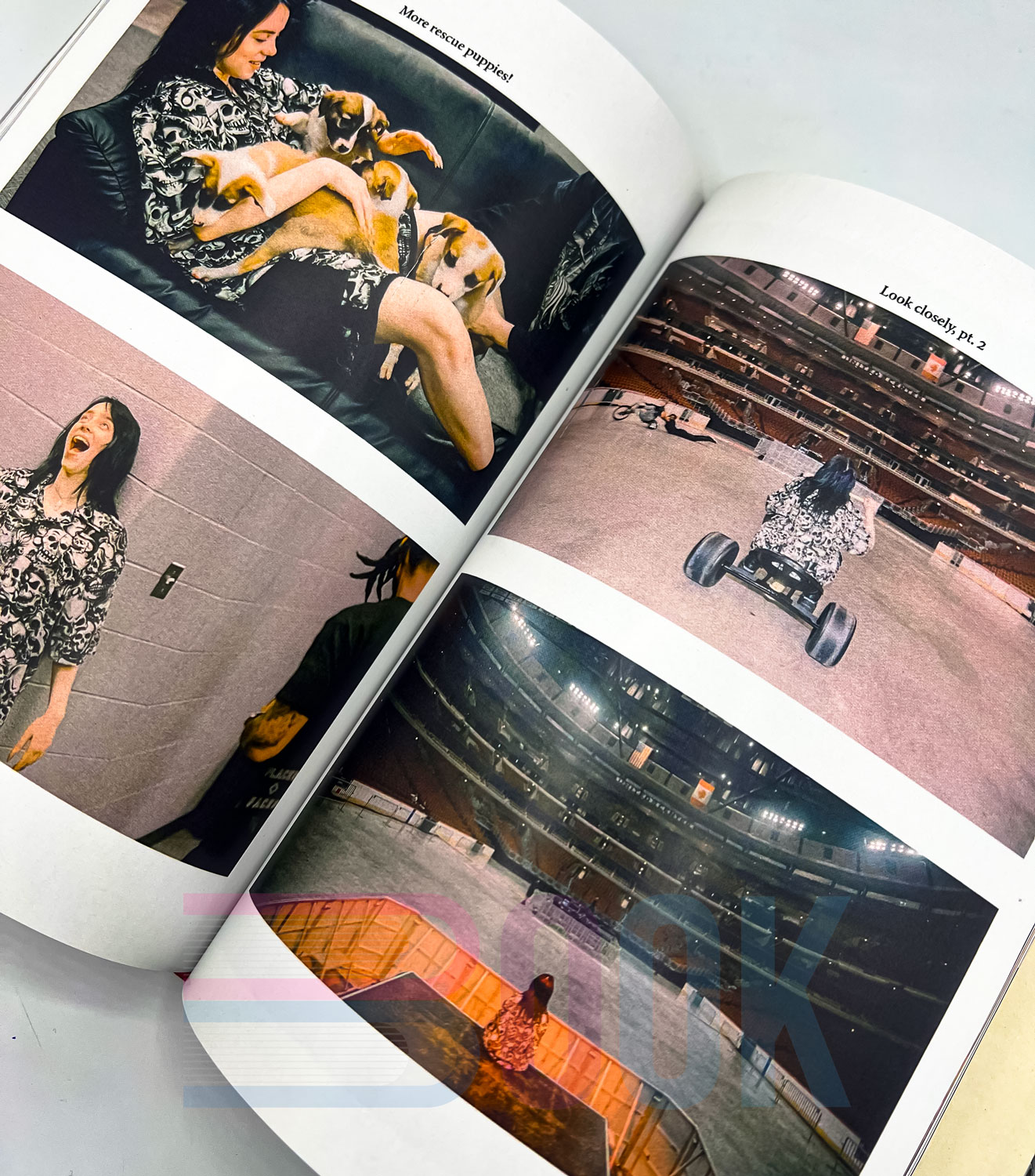 کتاب زندگینامه بیلی آیلیش Billie Eilish: The Official Book - تصویر 7