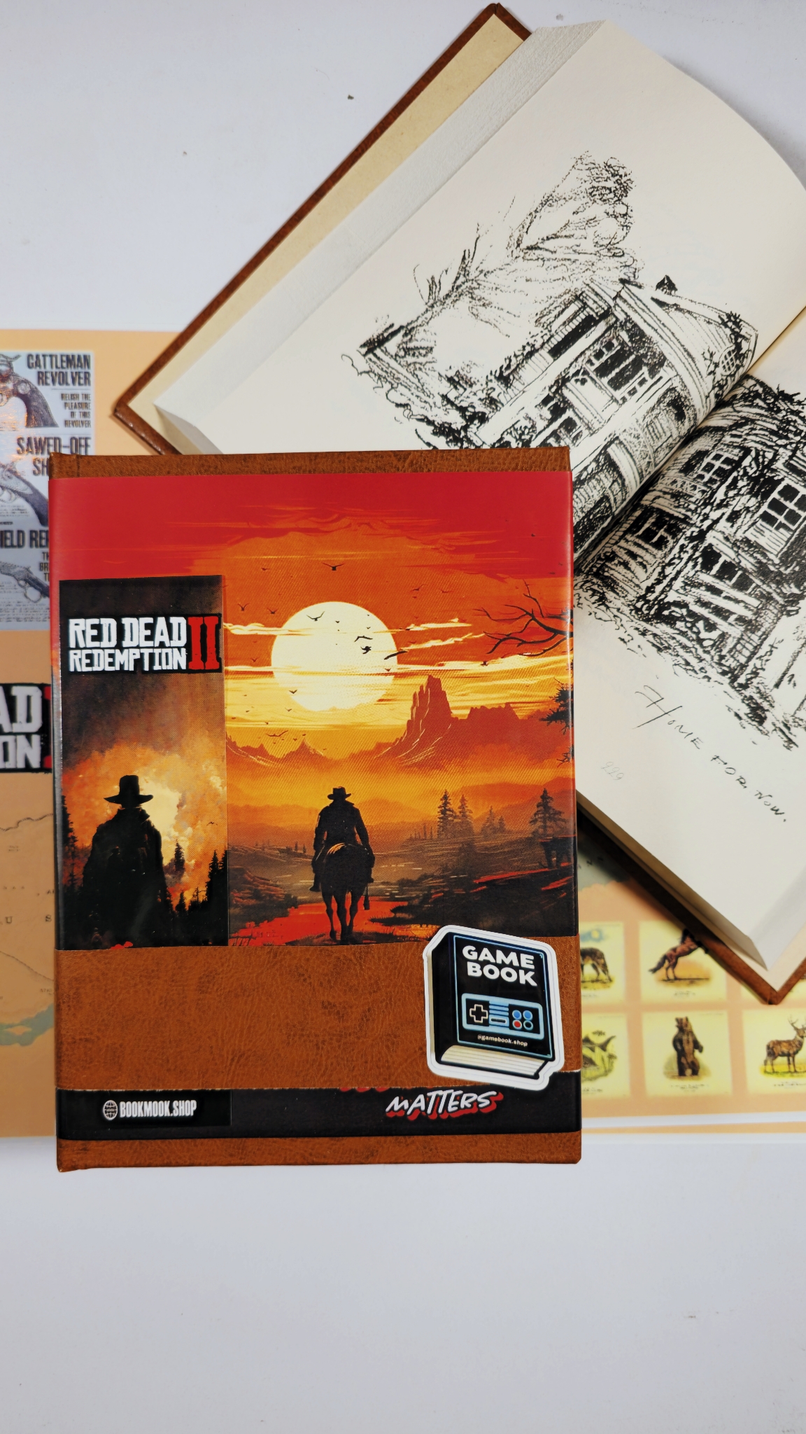 ژورنال آرتور مورگان رد دد 2 Arthur Morgan (RDR2) - تصویر 6