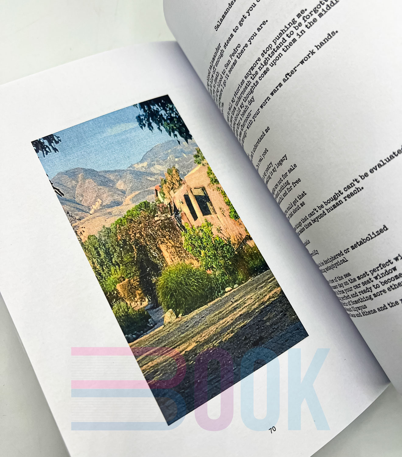 کتاب رنگی لانا دل ری Violet Bent Backwards Over the Grass rangi - تصویر 7