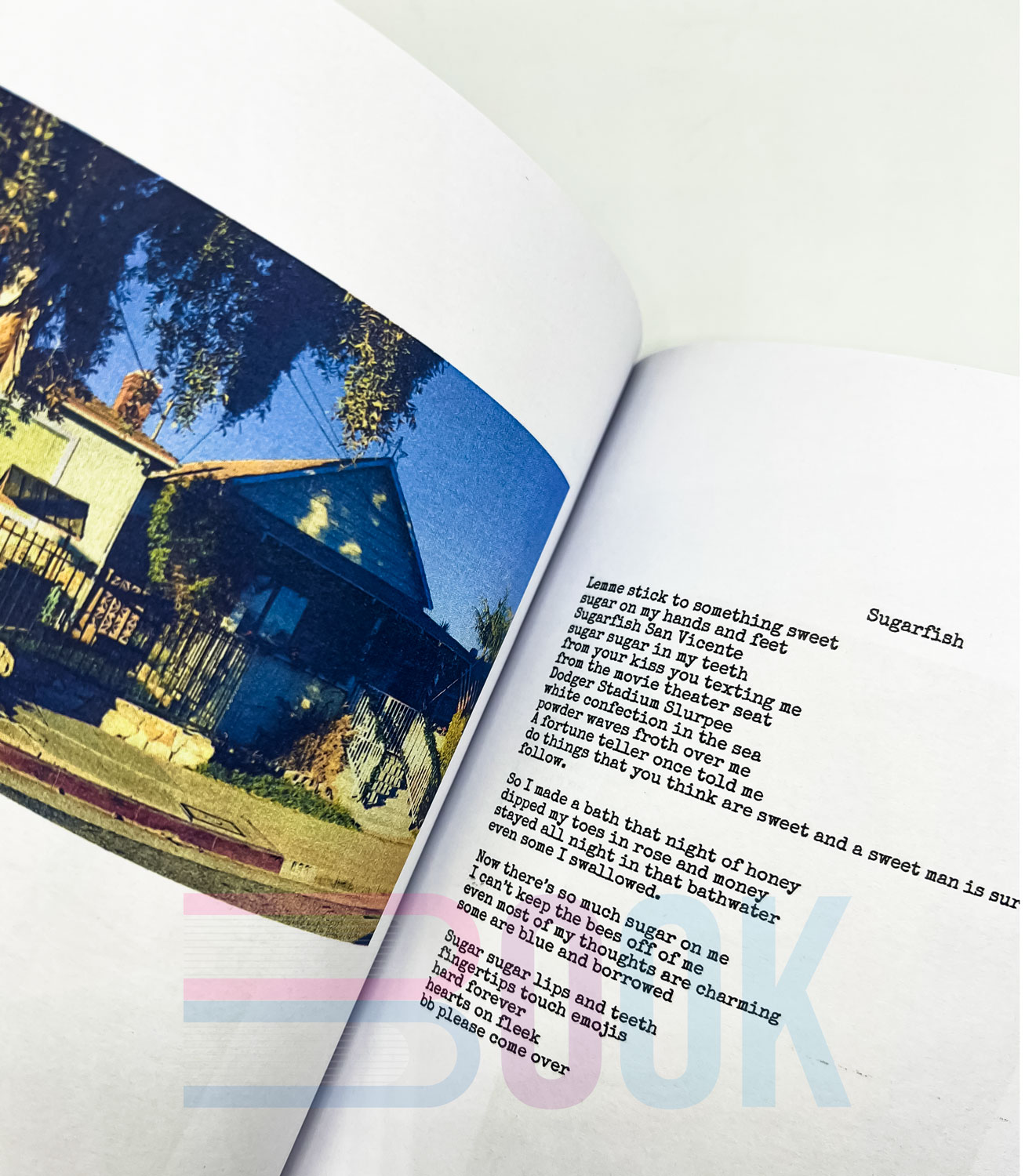 کتاب رنگی لانا دل ری Violet Bent Backwards Over the Grass rangi - تصویر 8