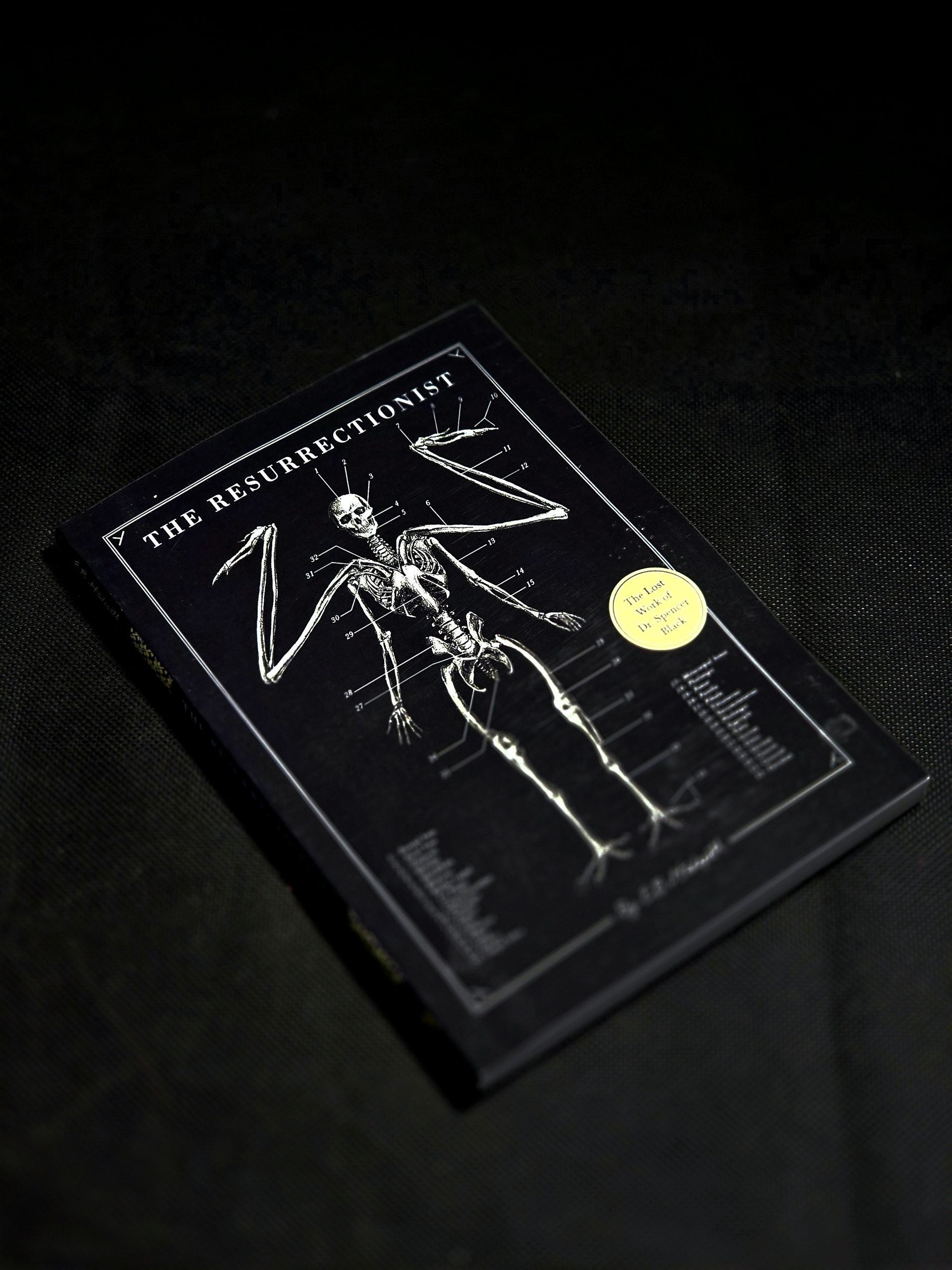 کتاب کار گمشده دکتر اسپنسر بلک The Resurrectionist: The Lost Work of Dr. Spencer Black (دارک آکادمیا) - تصویر 2