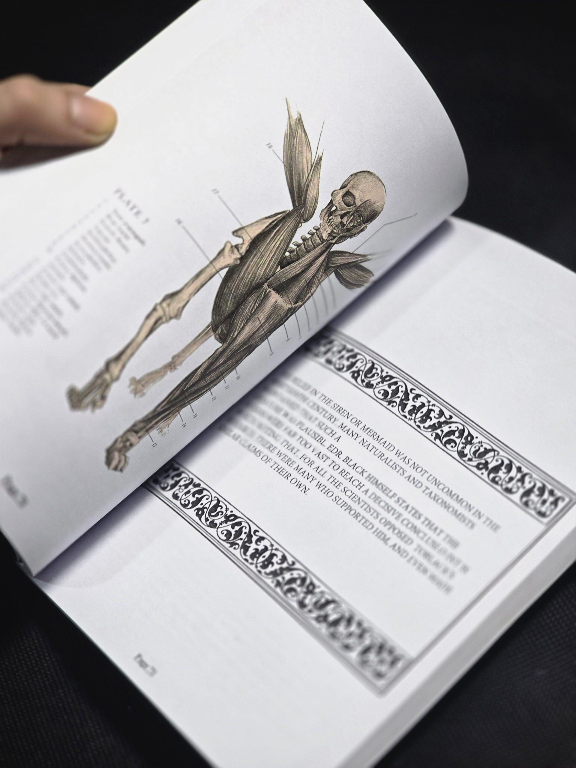 کتاب کار گمشده دکتر اسپنسر بلک The Resurrectionist: The Lost Work of Dr. Spencer Black (دارک آکادمیا) - تصویر 7