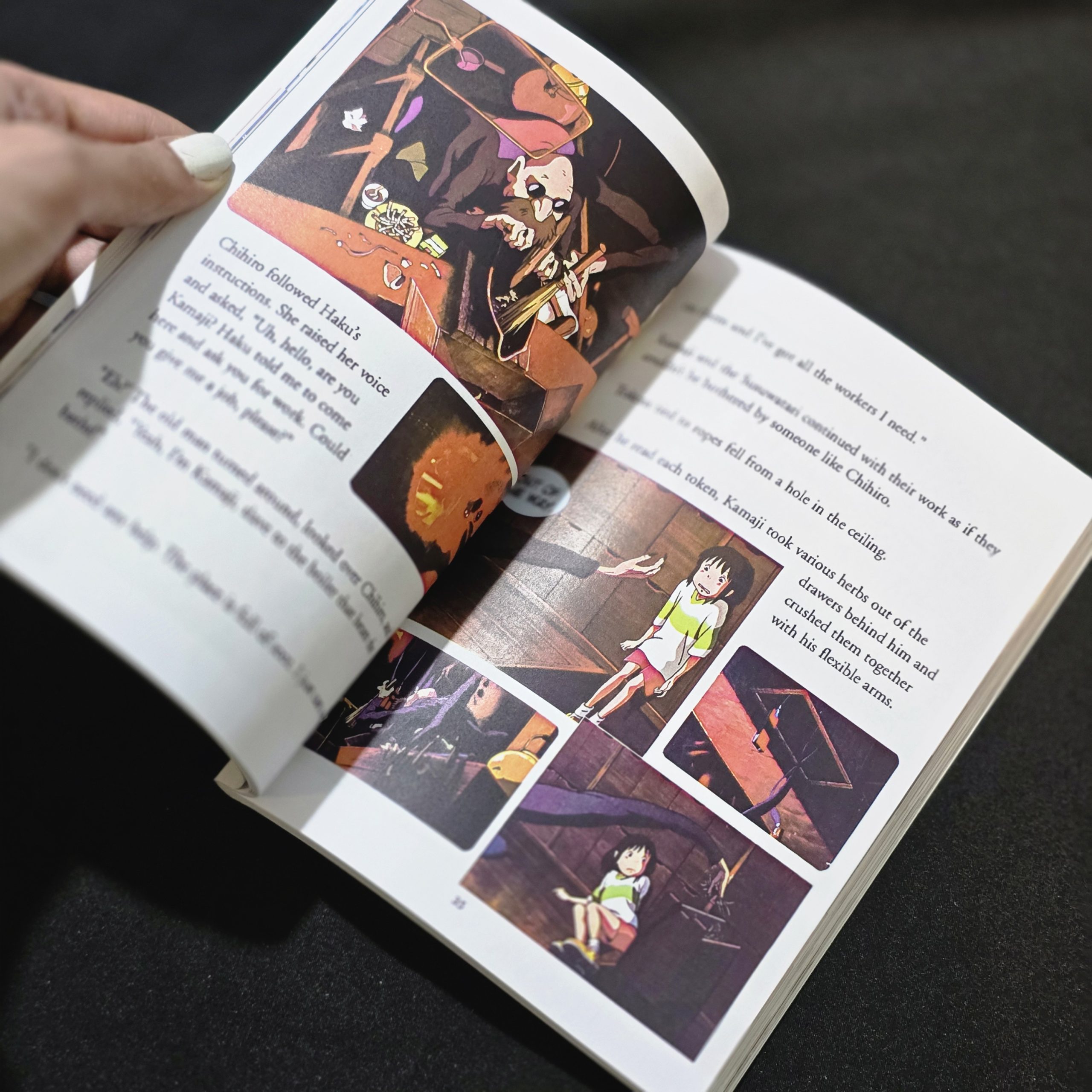 کتاب مصور شهر اشباح، Spirited Away Book، Spirited Away Picture