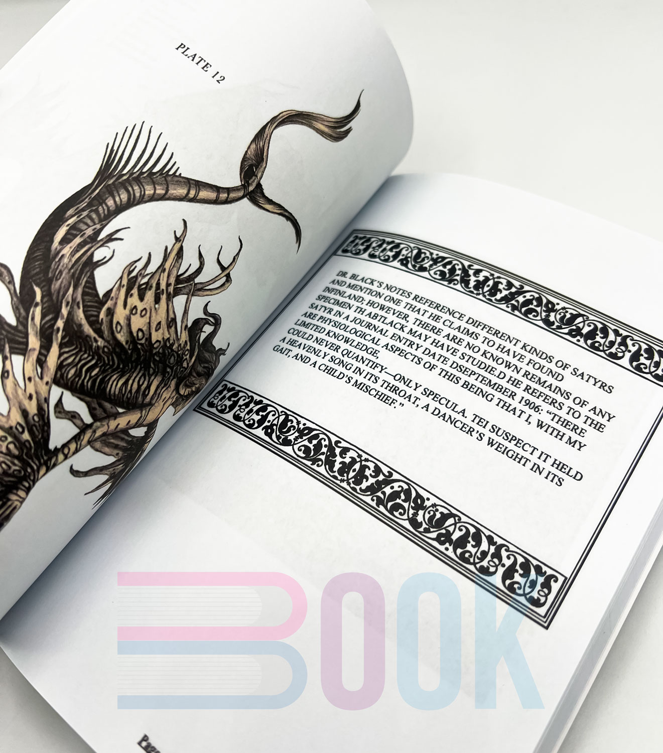 کتاب کار گمشده دکتر اسپنسر بلک The Resurrectionist: The Lost Work of Dr. Spencer Black (دارک آکادمیا) - تصویر 10