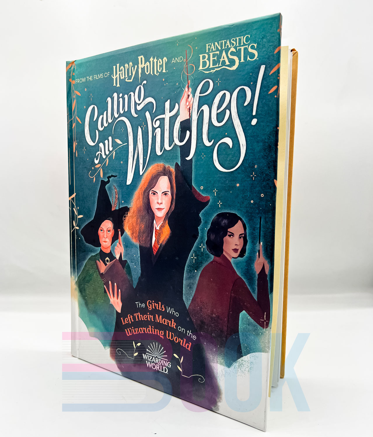 کتاب دختران دنیای هری پاتر Calling All Witches! The Girls Who Left Their Mark on the Wizarding World (Harry Potter and Fantastic Beasts) - تصویر 4