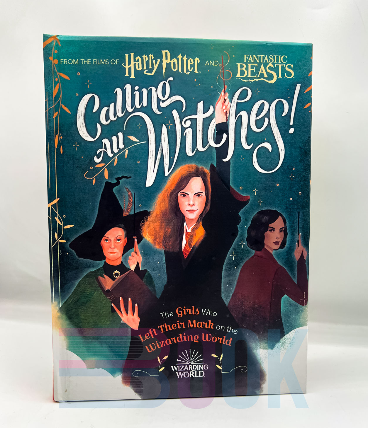 کتاب دختران دنیای هری پاتر Calling All Witches! The Girls Who Left Their Mark on the Wizarding World (Harry Potter and Fantastic Beasts) - تصویر 3