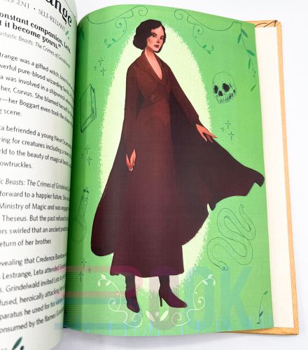 کتاب دختران دنیای هری پاتر Calling All Witches! The Girls Who Left Their Mark on the Wizarding World (Harry Potter and Fantastic Beasts) - 5
