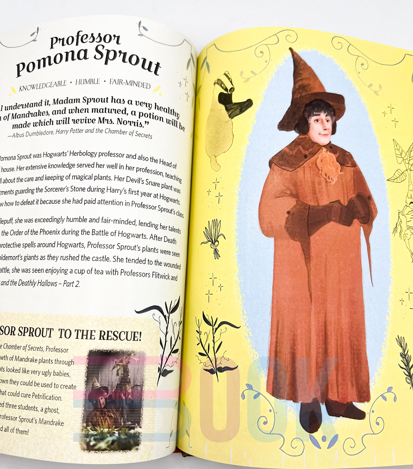 کتاب دختران دنیای هری پاتر Calling All Witches! The Girls Who Left Their Mark on the Wizarding World (Harry Potter and Fantastic Beasts) - تصویر 11