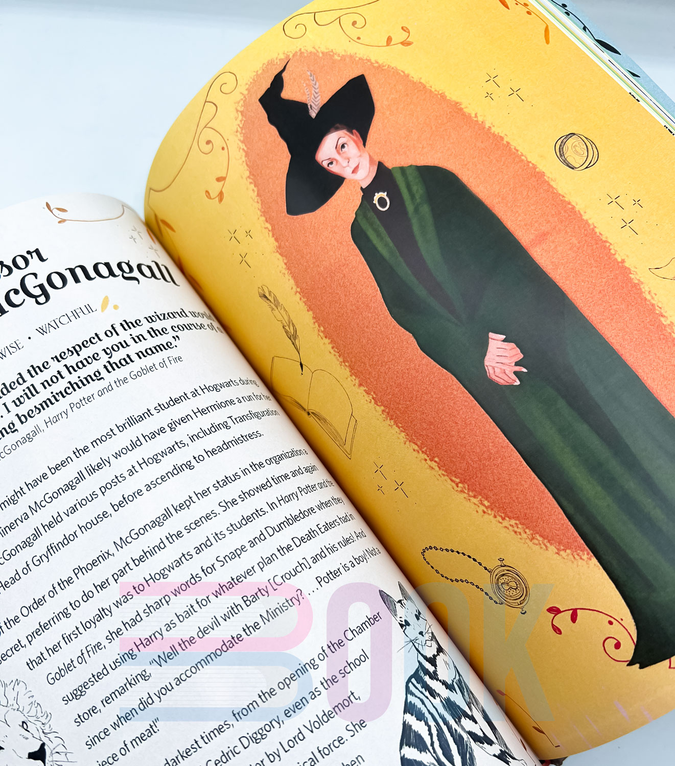 کتاب دختران دنیای هری پاتر Calling All Witches! The Girls Who Left Their Mark on the Wizarding World (Harry Potter and Fantastic Beasts) - تصویر 12