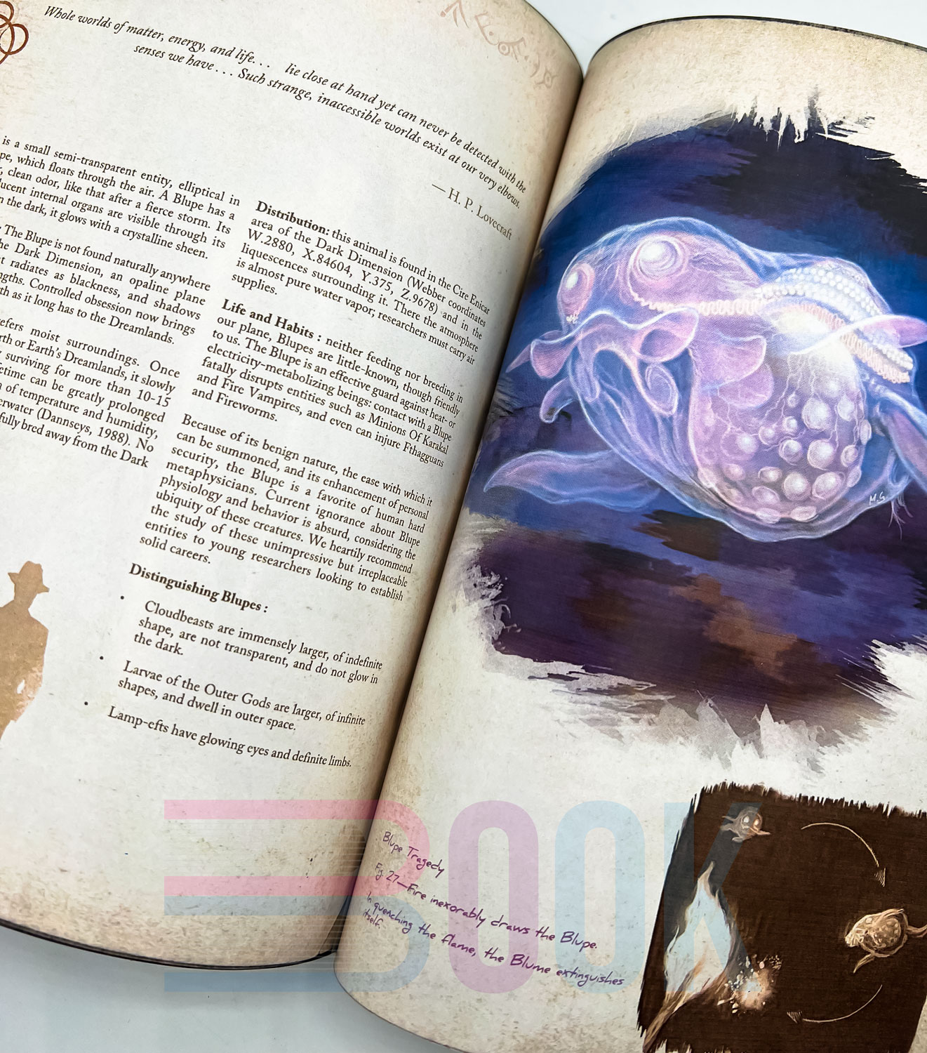 آرت بوک هیولاهای لاوکرفتی S. Petersen's Field Guide to Lovecraftian Horrors (دارک آکادمیا) - تصویر 8