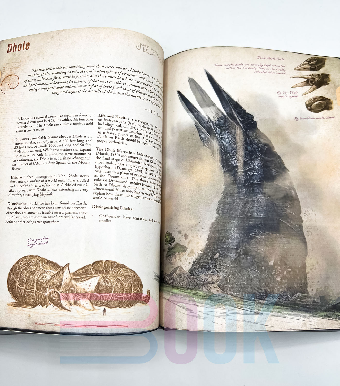 آرت بوک هیولاهای لاوکرفتی S. Petersen's Field Guide to Lovecraftian Horrors (دارک آکادمیا) - تصویر 10