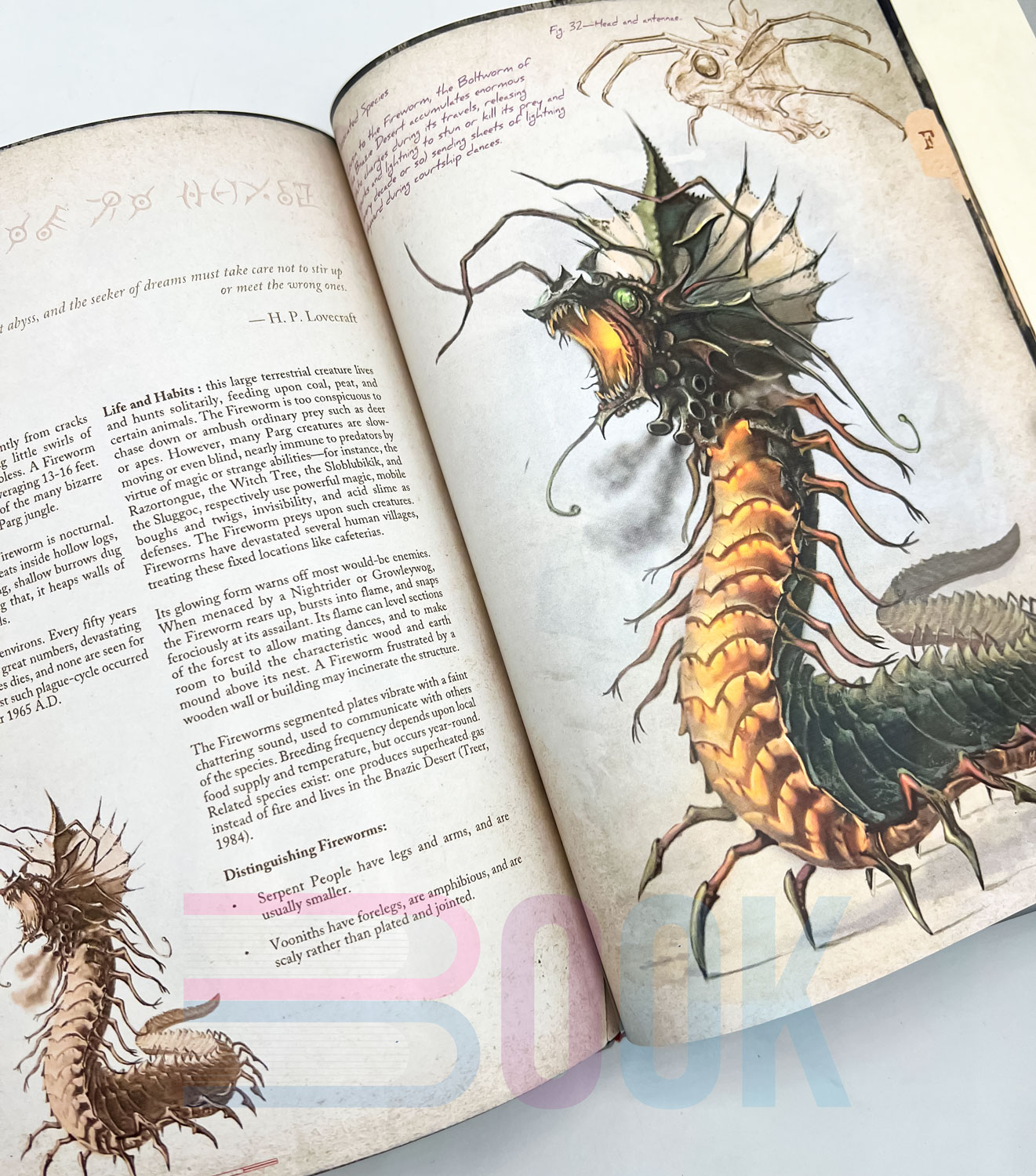 آرت بوک هیولاهای لاوکرفتی S. Petersen's Field Guide to Lovecraftian Horrors (دارک آکادمیا) - تصویر 11