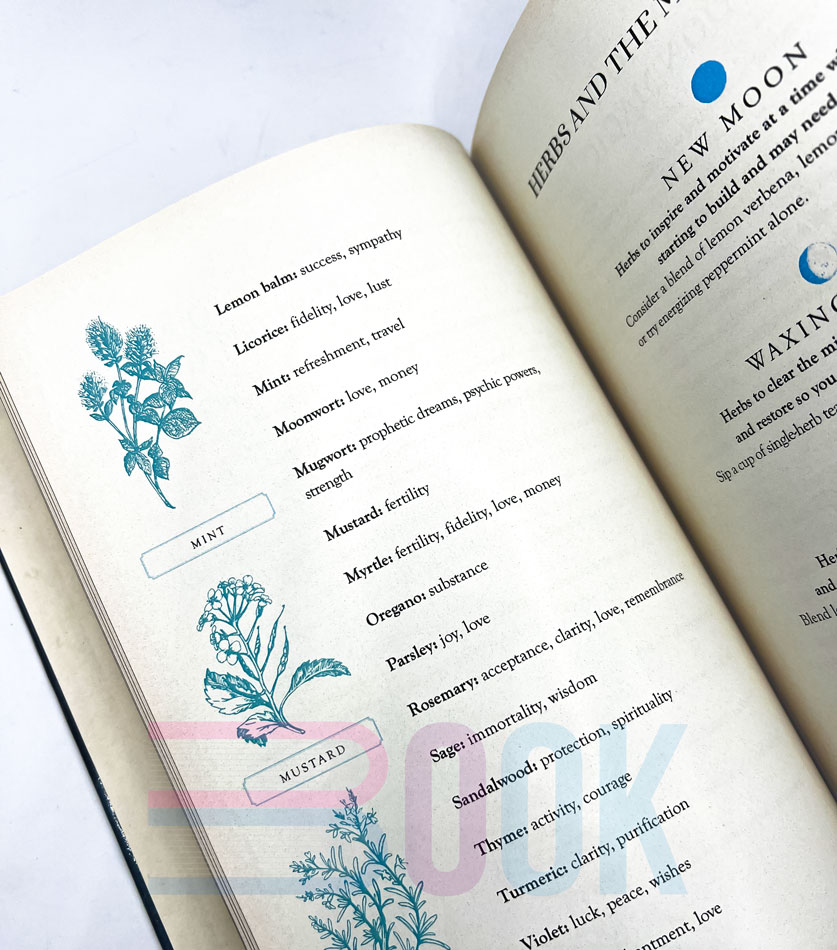 کتاب جادوی ماه Moon Magic: A Handbook of Lunar Cycles, Lore, and Mystical Energies (دارک آکادمیا) - تصویر 13