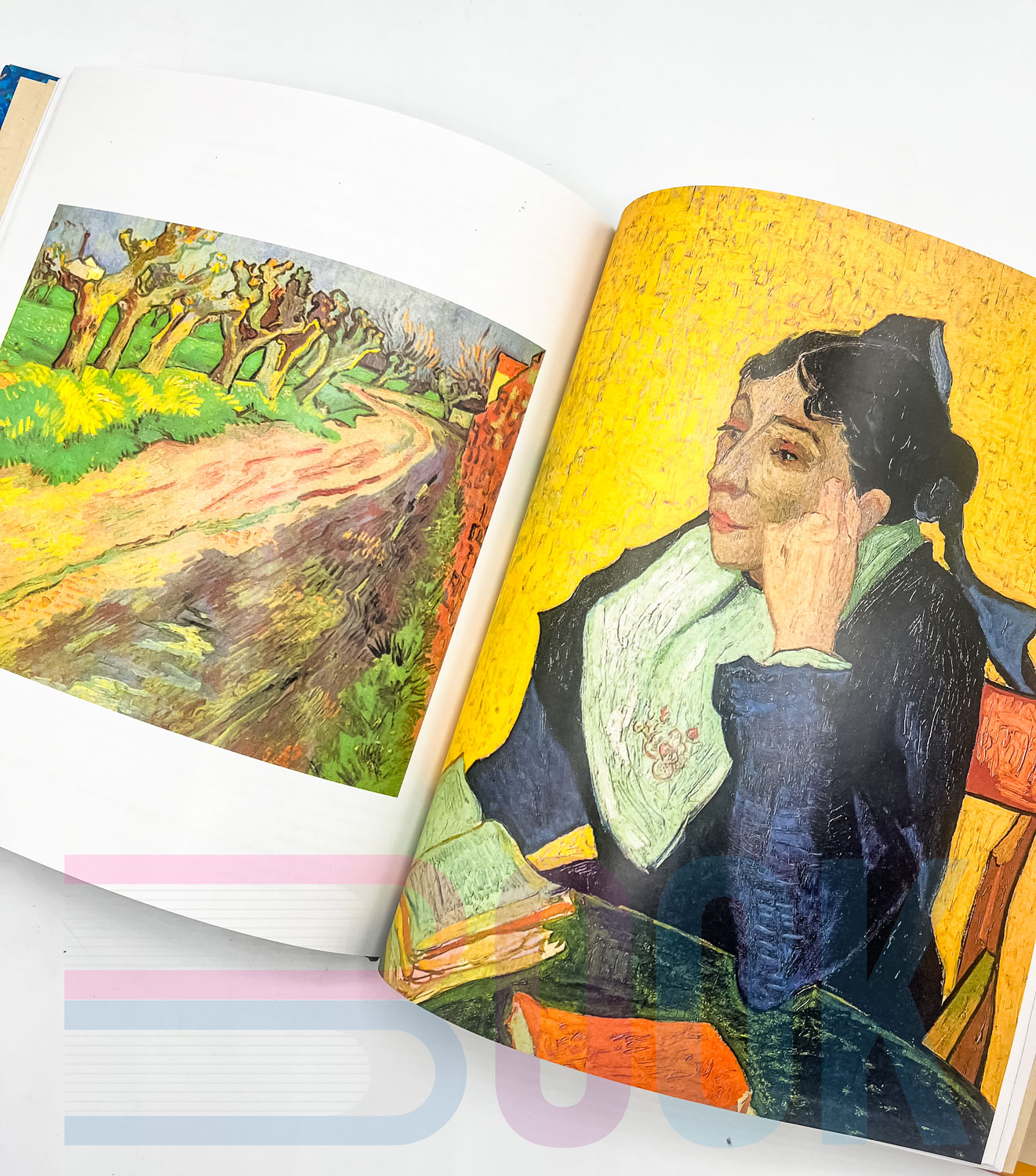 آرت بوک آثار ونگوک Vincent Van Gogh: The Complete Paintings - تصویر 8