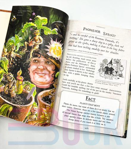 کتاب تاریخچه جادوگری هری پاتر Harry Potter A Journey Through a History of Magic - 2