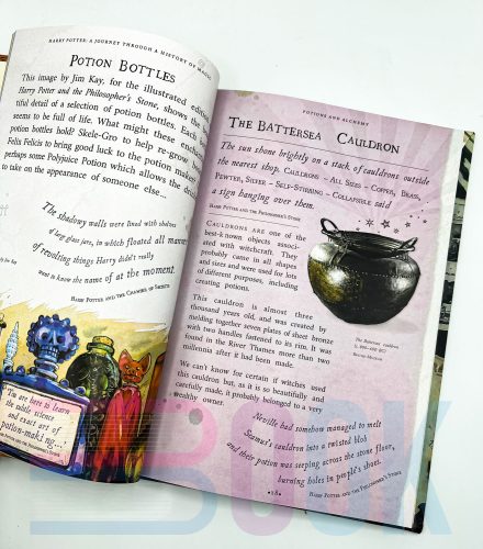 کتاب تاریخچه جادوگری هری پاتر Harry Potter A Journey Through a History of Magic - 5