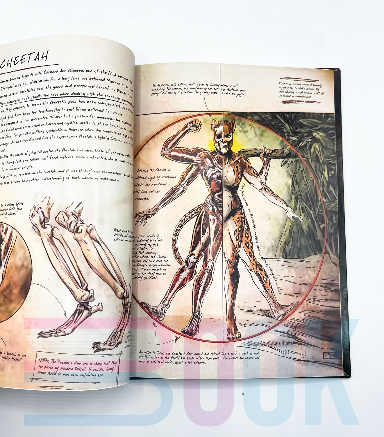 آرت بوک کمیک های دی سی متاهیومن DC Comics: Anatomy of a Metahuman - تصویر 2