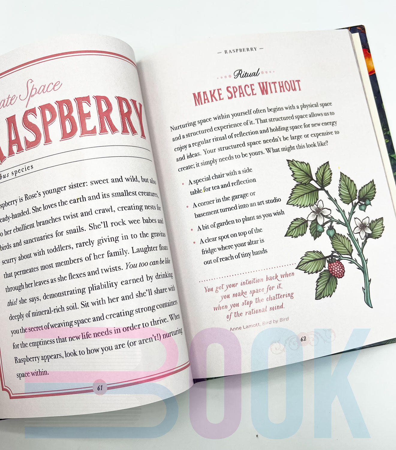کتاب راهنمای گیاهان جادویی The Illustrated Herbiary Guidance (دارک آکادمیا) - تصویر 5