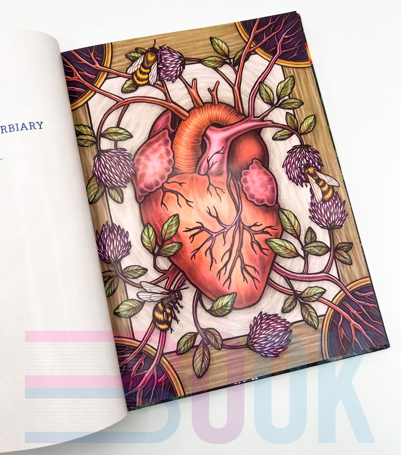 کتاب راهنمای گیاهان جادویی The Illustrated Herbiary Guidance (دارک آکادمیا) - تصویر 6