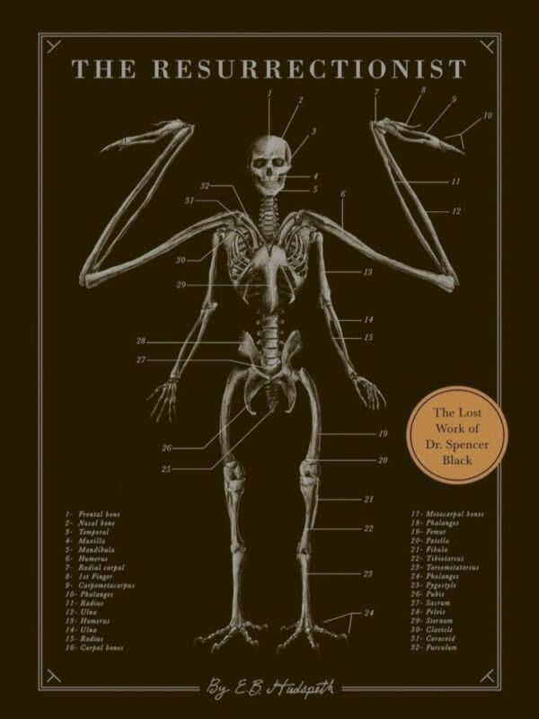 The Resurrectionist The Lost