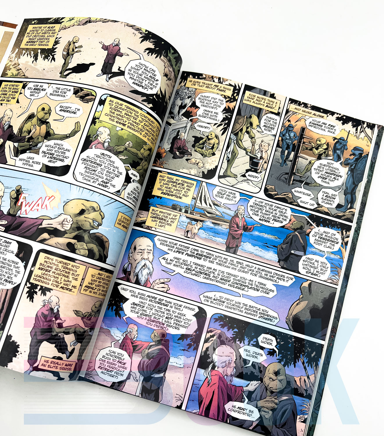 کتاب کمیک بوک لاکپشت های نینجا: آخرین رونین – سال‌های گمشده Teenage Mutant Ninja Turtles: The Last Ronin—The Lost Years - تصویر 6