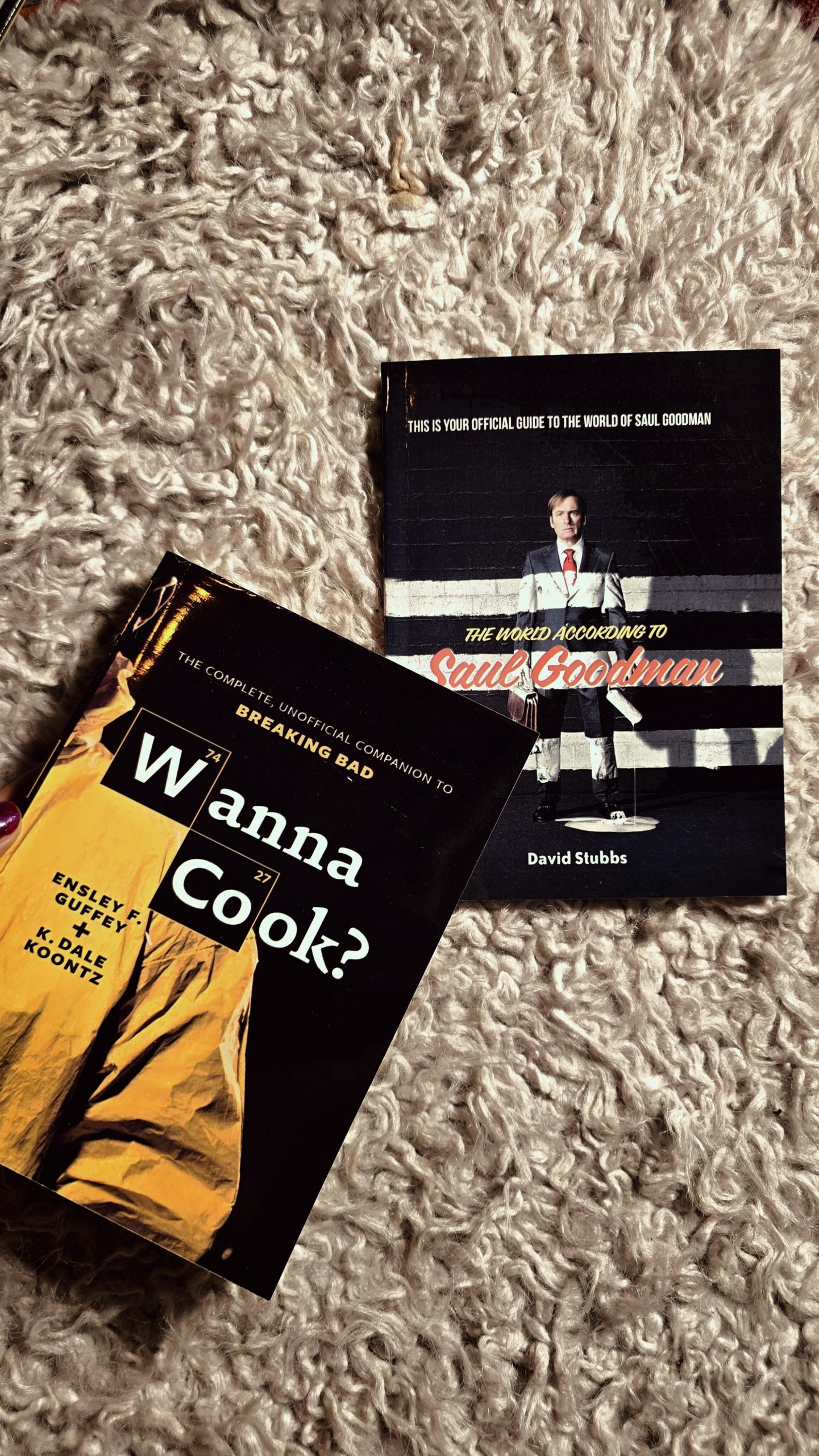 wanna cook breaking bad companion