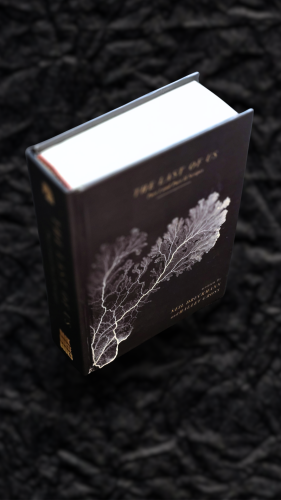 کتاب «The Last of Us: Part I and Part II Scripts»