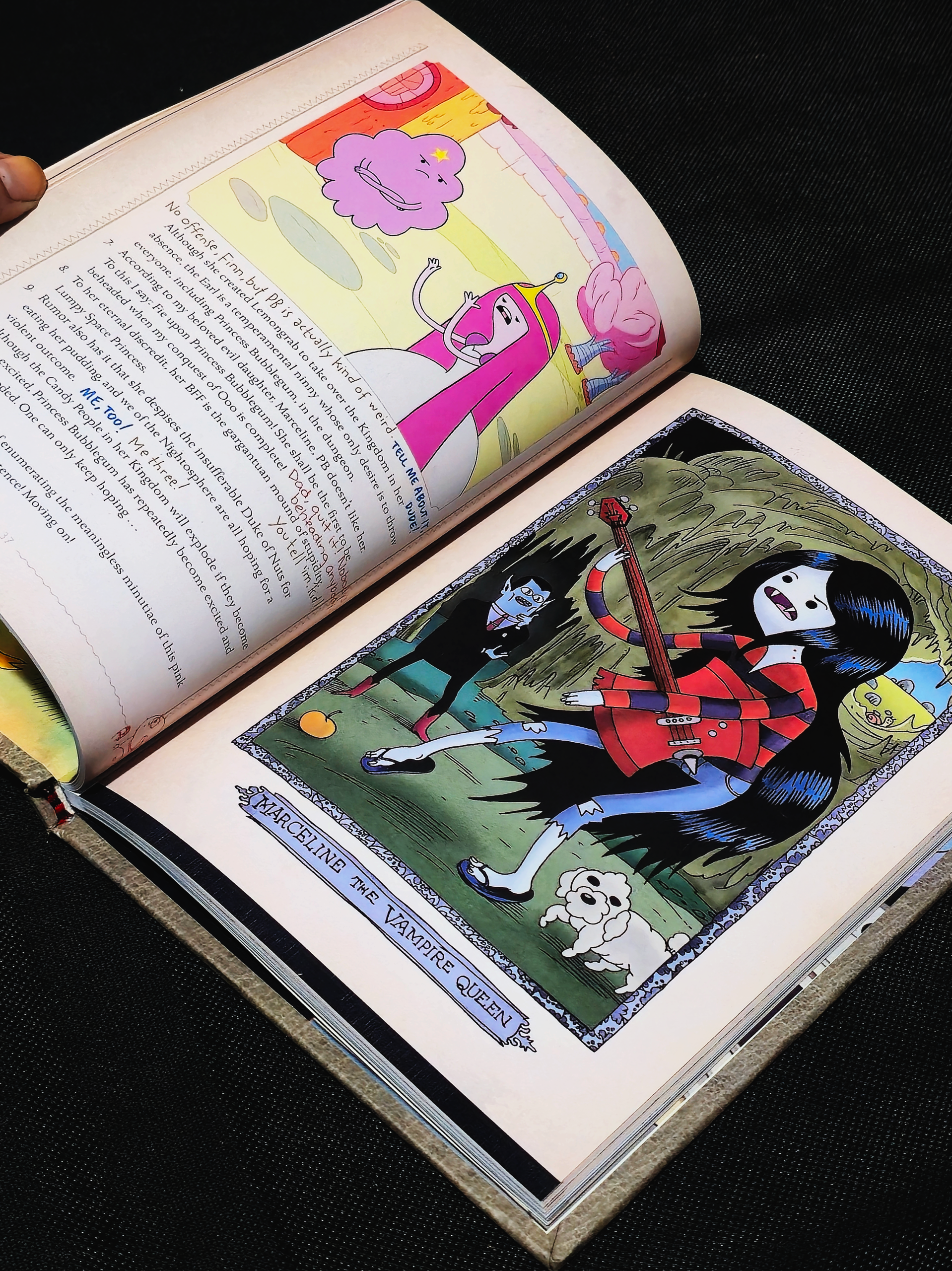 دایرة المعارف ادونچر تایم Adventure Time Encyclopedia - تصویر 6