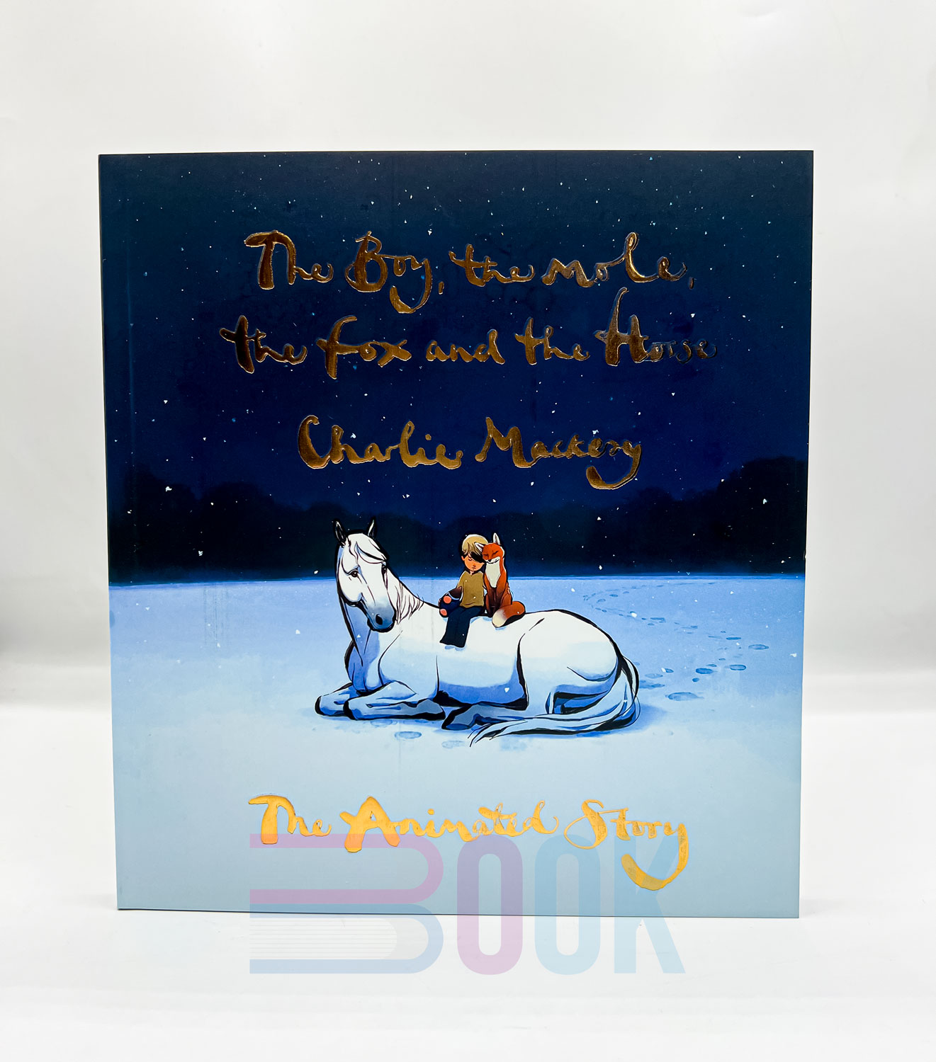 کتاب پسر، موش کور، روباه و اسب The boy,The mole, The fox and The horse - تصویر 4