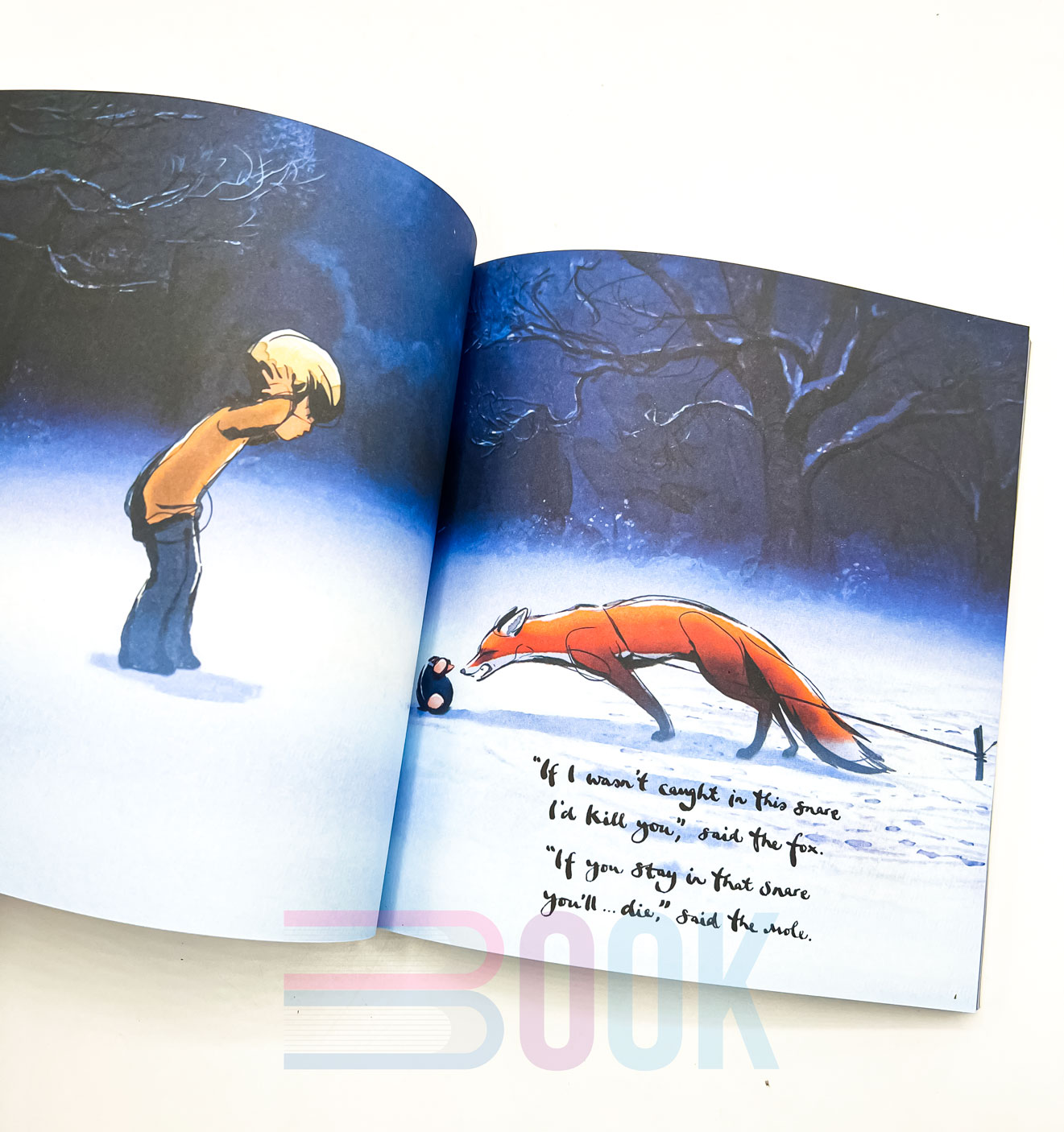 کتاب پسر، موش کور، روباه و اسب The boy,The mole, The fox and The horse - تصویر 2