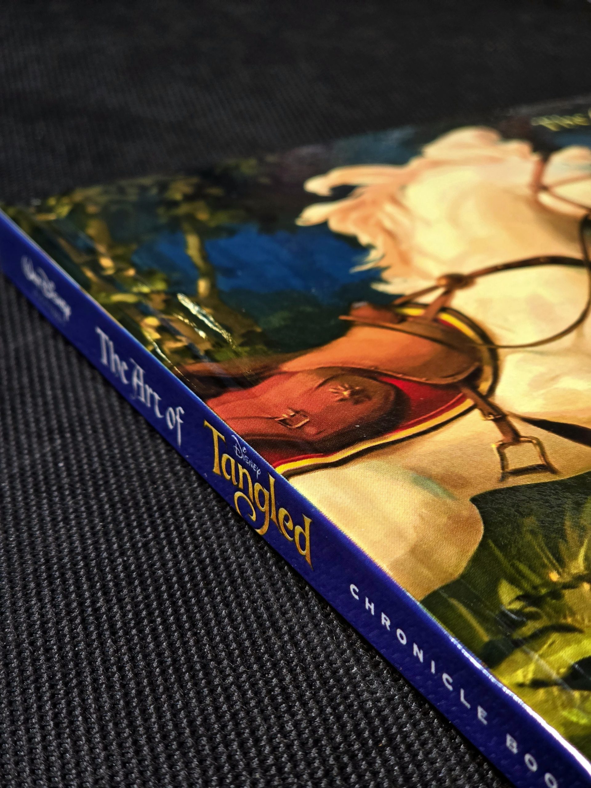 آرت بوک انیمشن گیسوکمند دیزنی The Art of Tangled (Disney) - تصویر 3