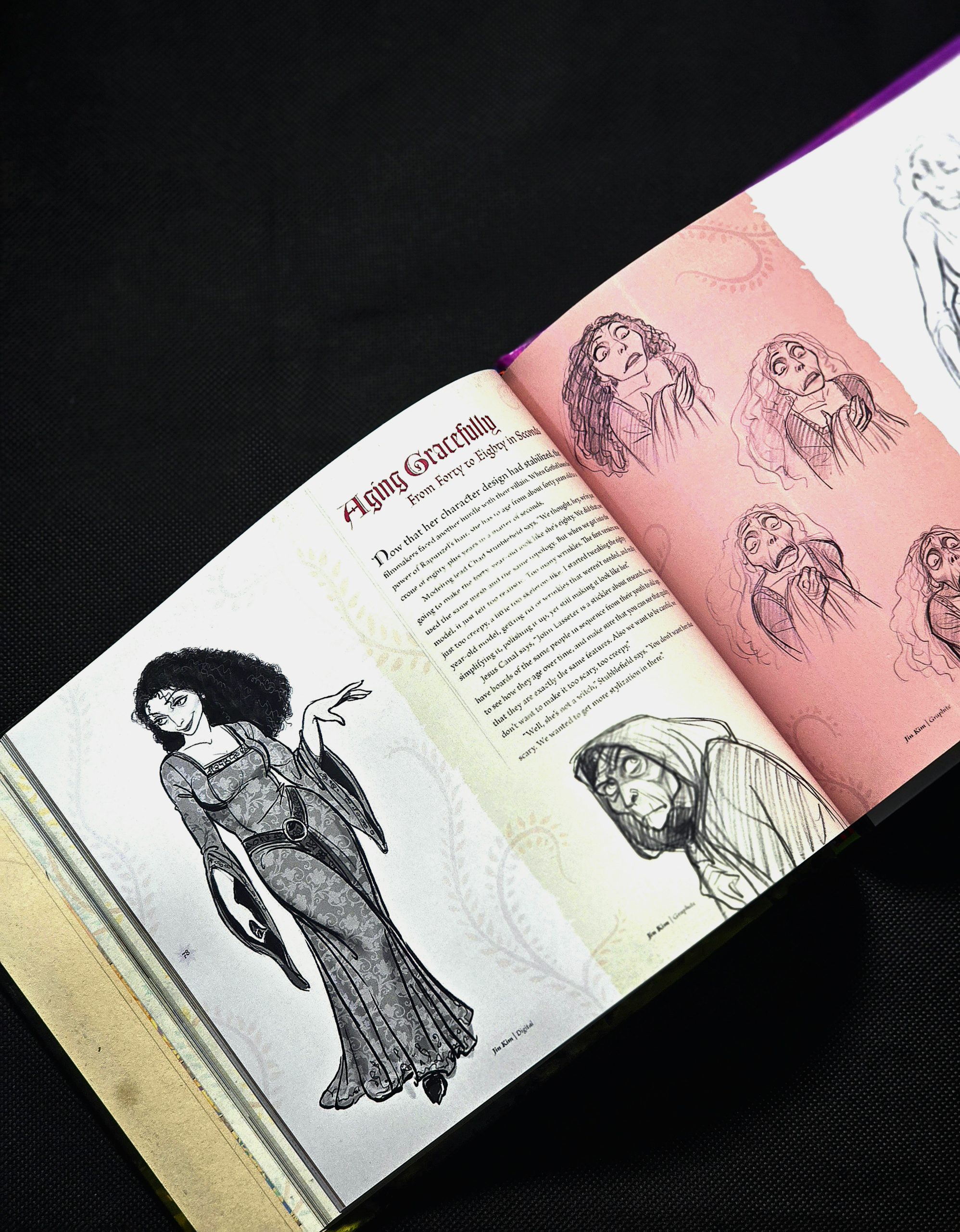 آرت بوک انیمشن گیسوکمند دیزنی The Art of Tangled (Disney) - تصویر 6