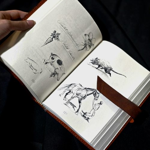 معرفی Arthur Morgan’s Journal | Red Dead Redemption 2