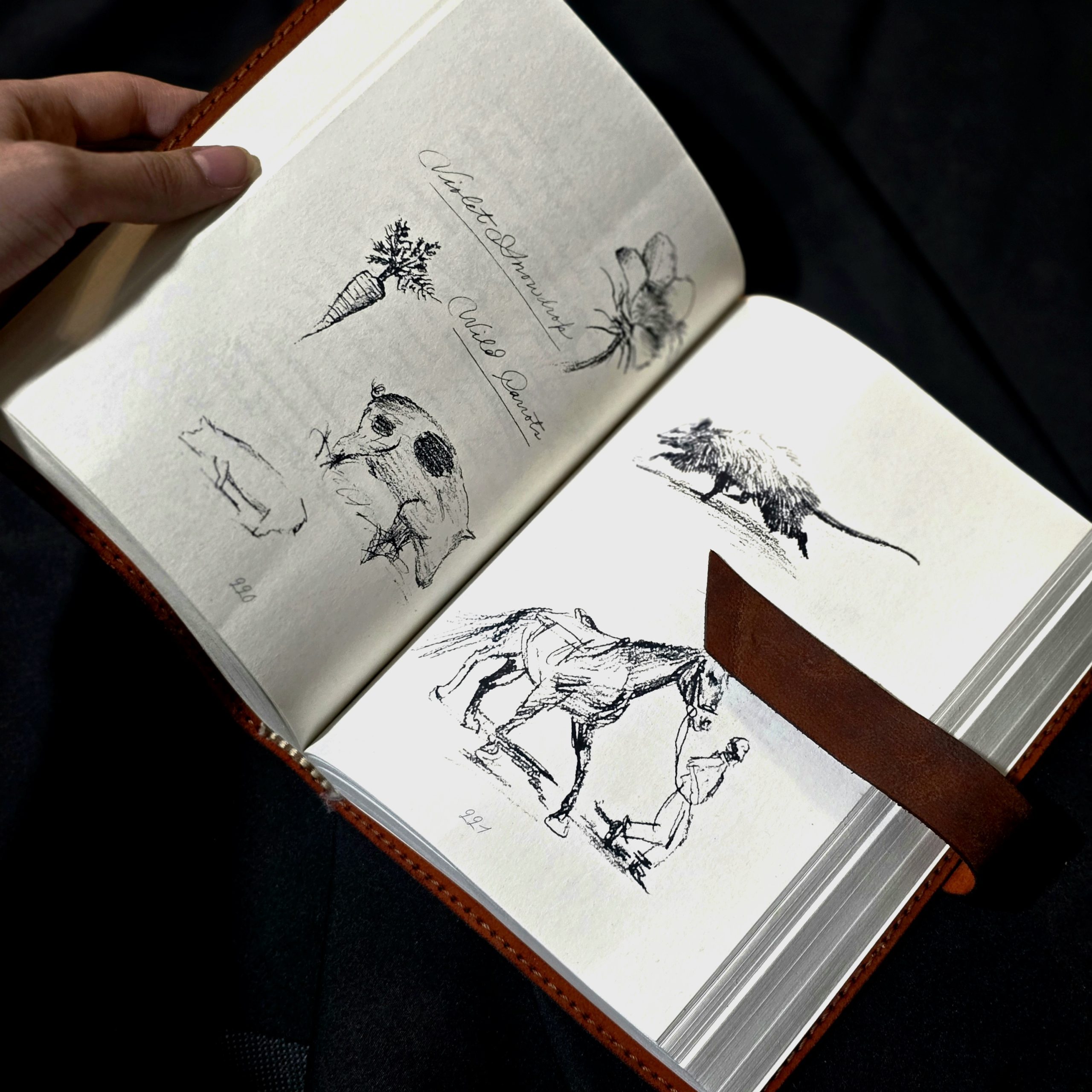 معرفی Arthur Morgan’s Journal | Red Dead Redemption 2